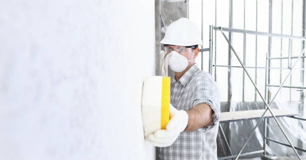 Best Industrial Mold Remediation in Evansdale, IA