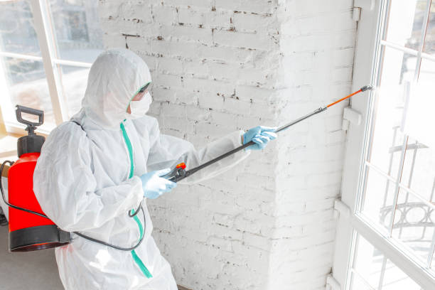 Why You Should Choose Our Mold Remediation Services in Evansdale, IA